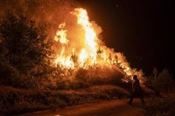 La Diputación de Palencia concederá ayudas extraordinarias a los municipios y ganaderos afectados por los incendios del norte de la provincia