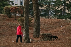 La Policía Local detecta  90 infracciones en la nueva campaña especial de vigilancia y control en materia de tenencia de animales de compañía
