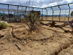 La junta colocará sensores de fibra óptica para monitorizar a la fauna silvestre y mejorar la seguridad vial