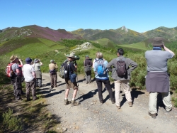 Seis touroperadores internacionales conocerán de primera mano la biodiversidad de la Montaña Palentina