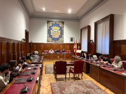La Diputación de Palencia reúne al Consejo Provincial de Infancia y Adolescencia para abordar la promoción de hábitos saludables entre la juventud