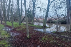 Atención especial a la subida del Rió Carrión