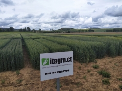 Innovar con en el sector agrario provincial una prioridad para la Diputación palentina