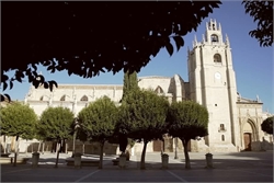 Ramón Torrelledó ofrecerá el sábado 10 de octubre un concierto gratuito en la Catedral recorriendo su trayectoria de 40 años como director de orquesta
