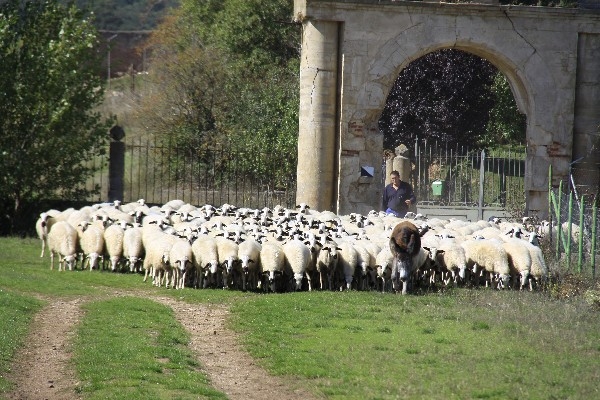 Tablares: un referente en sostenibilidad agraria y medioambiental