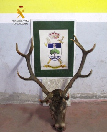 La Guardia Civil ha recuperado UNA cabeza de Ciervo Macho, sin el precinto, en el término municipal de La Pernía