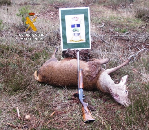 La Guardia Civil sorprende a un hombre, cazando sin Licencia de Caza y sin autorización del titular del Coto, en Castrejón de la Peña