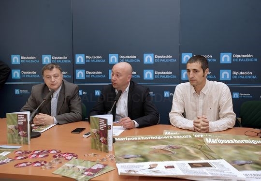 La Diputación de Palencia apoya la conservación de la mariposa hormiguera oscura en la Montaña Palentina