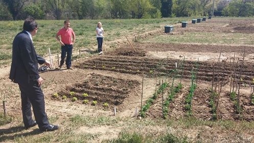 El Ayuntamiento abre convocatoria para 57 nuevos huertos urbanos en la Finca 'Villa Luz'