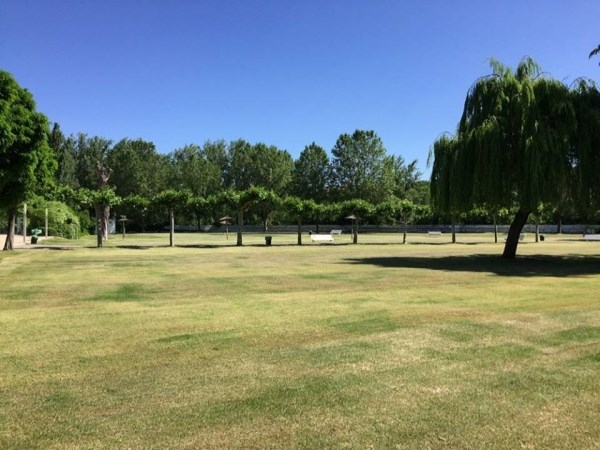 Ayer abrieron sus puertas las piscinas de verano de El Sotillo