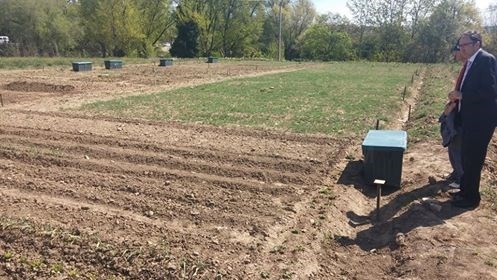 El Ayuntamiento ha adjudicado 51 nuevos huertos urbanos en la finca Villa Luz