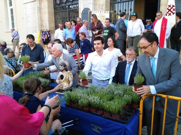 El Ayuntamiento de Palencia reparte 3,000 plantas de tomillo con motivo de la festividad de San Juan