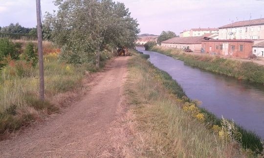 La Diputación Provincial comienza a trabajar en la limpieza de los márgenes del Canal de Castilla a su paso por la provincia
