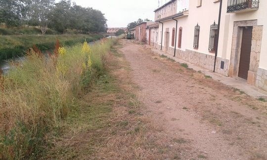 La Diputación Provincial comienza a trabajar en la limpieza de los márgenes del Canal de Castilla a su paso por la provincia
