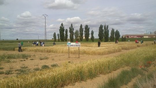 Las Juntas Agropecuarias Locales (JAL) pueden solicitar ayudas para la ordenación común de los recursos agropecuarios