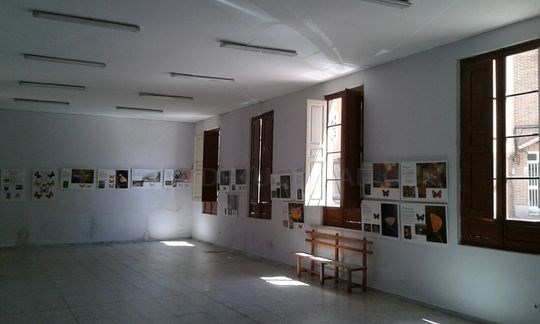 El programa de exposiciones itinerantes de la Diputación Expo en Red, avanza en septiembre con muestras en siete salas de la Provincia