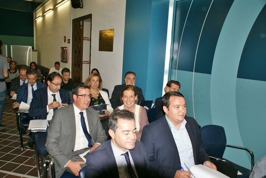 La presidenta de la Diputación de Palencia, Ángeles Armisén acudió a la reunión el Consejo Territorialde la FEMP