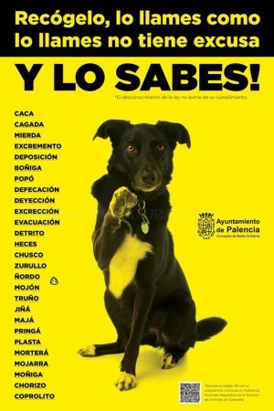 El Ayuntamiento instala 73 carteles por toda la ciudad recordando a los propietarios de perros la obligación de recoger sus excrementos