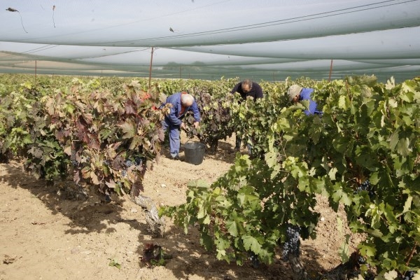 La Diputación de Palencia comprometida con la innovación en el sector agrario de la provincia mediante su colaboración con ITAGRA C.T.
