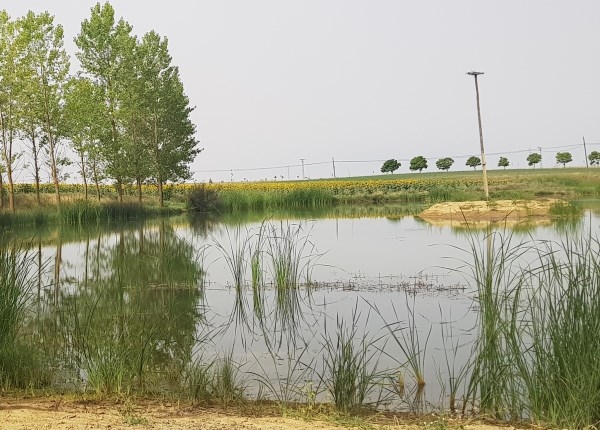 La Diputación palentina renueva su convenio con Global Nature por importe de 16.000 €