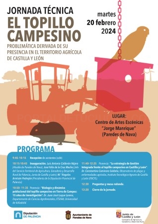 La Diputación de Palencia ha programado una jornada técnica para el próximo martes con el “topillo campesino” como protagonista