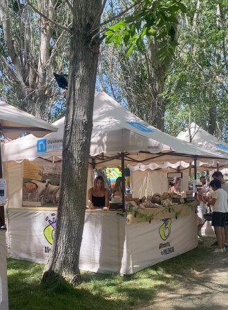 La Diputación palentina destina 92.500 euros a 55 ayuntamientos para apoyar sus ferias locales y eventos gastronómicos en la provincia