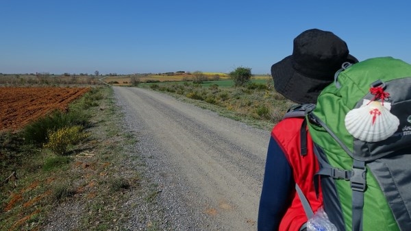 La Diputación de Palencia impulsa un curso online destinado a empresarios y emprendedores turísticos del Camino de Santiago
