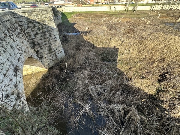El Ayuntamiento de Villamuriel exige a la Confederación Hidrográfica del Duero la limpieza del cauce del Río Carrión a su paso por la localidad.