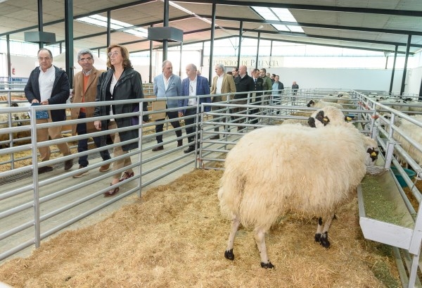 La Diputación palentina renueva la colaboración con ANCHE por importe de 38.000 euros para contribuir en la mejora y la difusión de la raza churra