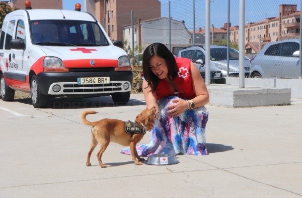 Conservación de medicamentos, trabajo al aire libre y cuidado de mascotas, nuevos focos de atención de Cruz Roja Española