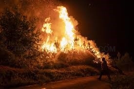 La Diputación de Palencia concederá ayudas extraordinarias a los municipios y ganaderos afectados por los incendios del norte de la provincia