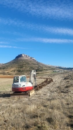 El Geoparque Las Loras recupera los setos naturales como alternativa y complemento a los cerramientos artificiales para el manejo del ganado