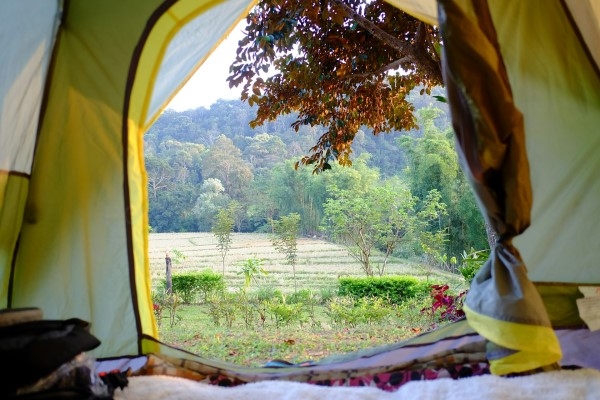 Verano en la montaña: campamentos de inglés rodeados de naturaleza