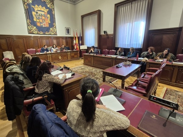 El Consejo Provincial de la Mujer repasó las acciones de la Diputación en favor del colectivo