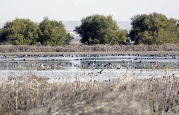 La Diputación palentina renovó el convenio con Global Nature por importe de 16.000 euros
