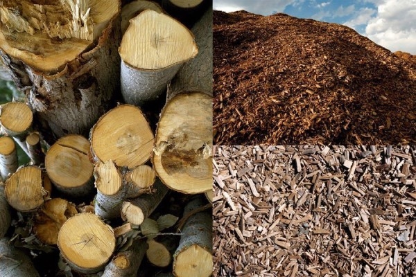 La Junta impulsa un nuevo centro logístico de biomasa forestal en el municipio palentino de Alar del Rey con una inversión de más de 870.000 euros