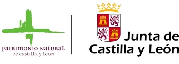 La Junta avanza en las obras de rehabilitación de la Casa de la Cruz, en la localidad palentina de Fuentes de Nava, con una inversión de 450.000 euros