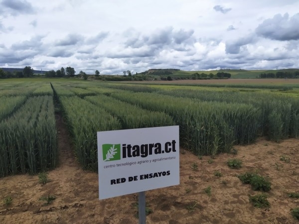 Innovar con en el sector agrario provincial una prioridad para la Diputación palentina