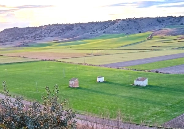 La Diputación impulsa el crecimiento económico y la protección del patrimonio rural