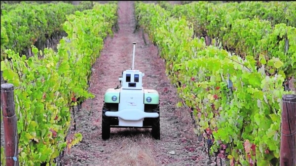 La IA en el campo