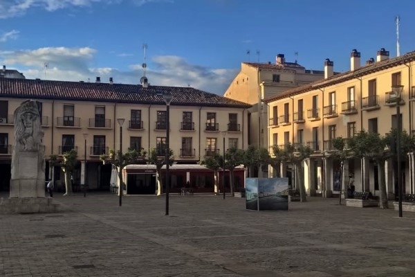 Degustación de bizcochos y reparto de plantas en el mercado ecológico del sábado 9 de mayo en Palencia