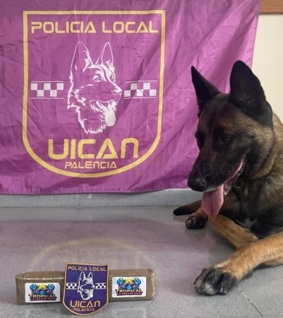 Dos jóvenes en VYP, detenidos por delitos contra la salud pública