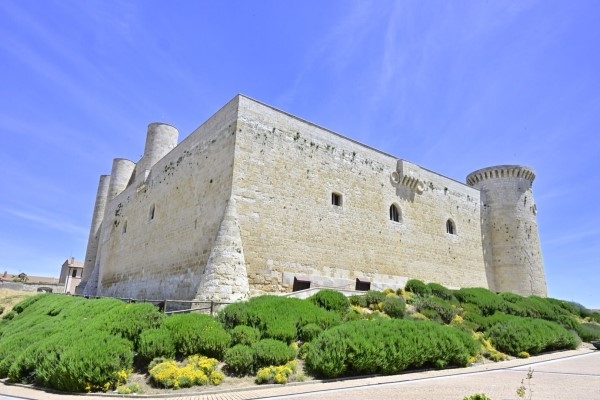 La “Invasión Comunera” del Castillo de Fuentes de Valdepero protagoniza las visitas a la fortaleza este verano
