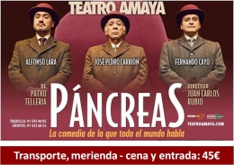 Salida Cultural: Páncreas