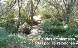 Sendas Ambientales guiadas
