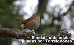 Sendas ambientales guiadas