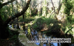 Sendas ambientales guiadas por Torrelodones durante el verano