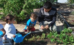 “II Jornadas de la huerta al cole en los huertos urbanos”