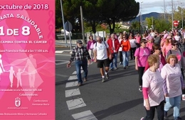 III Caminata saludable