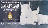 Concurso Nacional Canino